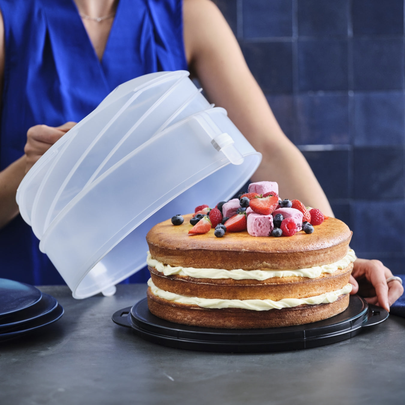 COLLAPSIBLE CAKE TAKER